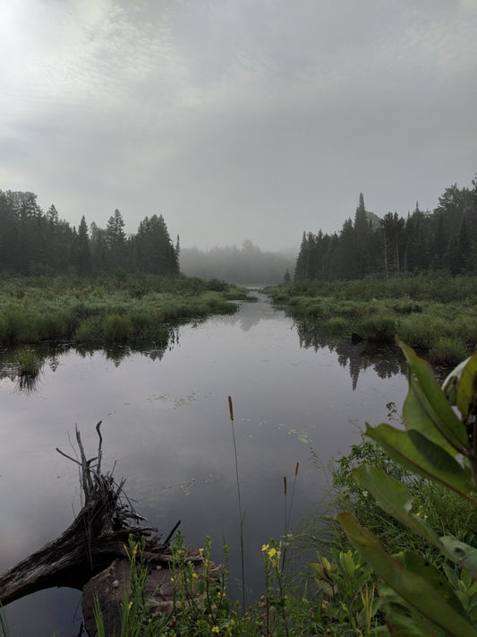 Canada- Swisha Loop  June 10th- June 14th 2026